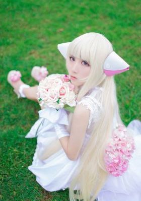 国产精品视频一区二区在线观看-最新无删减在线播放